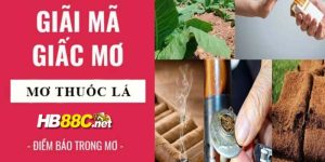 nằm mơ thấy thuốc lá hb88 thumb