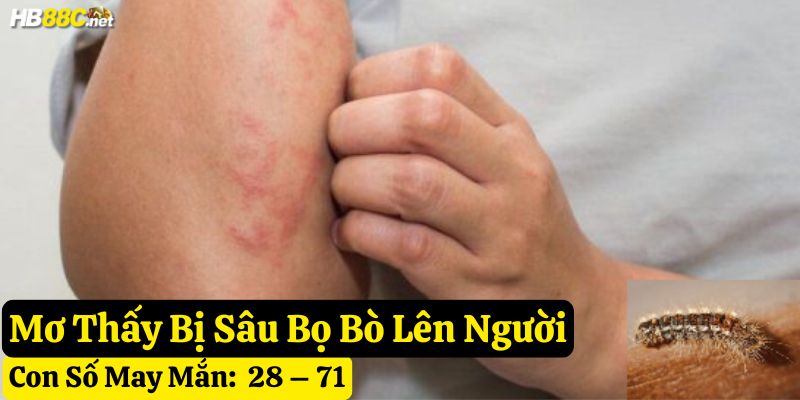 nằm mơ sâu bọ