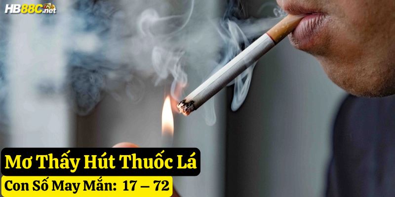 mơ thuốc lá