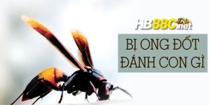 tự nhiên bị ong đốt đánh con gì hb88 thumb