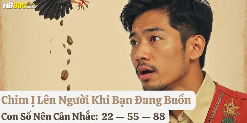 chim ị lên người hb88