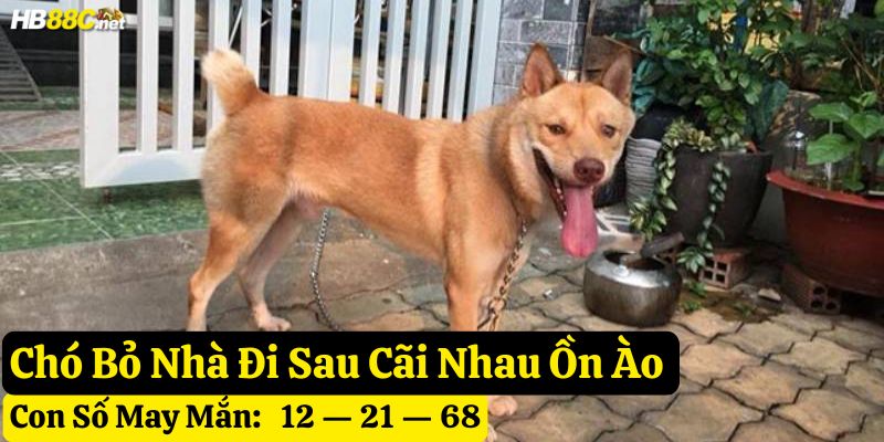chó bỏ nhà đi hb88