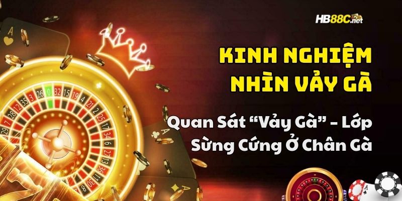 kinh nghiệm chơi đá gà hb88