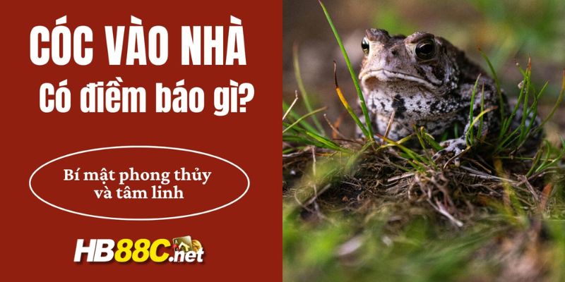 cóc vào nhà hb88 thumb