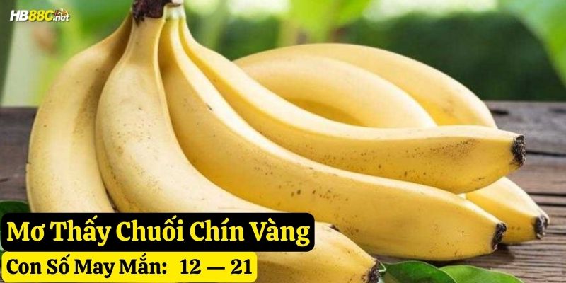 nằm mơ thấy chuối hb88