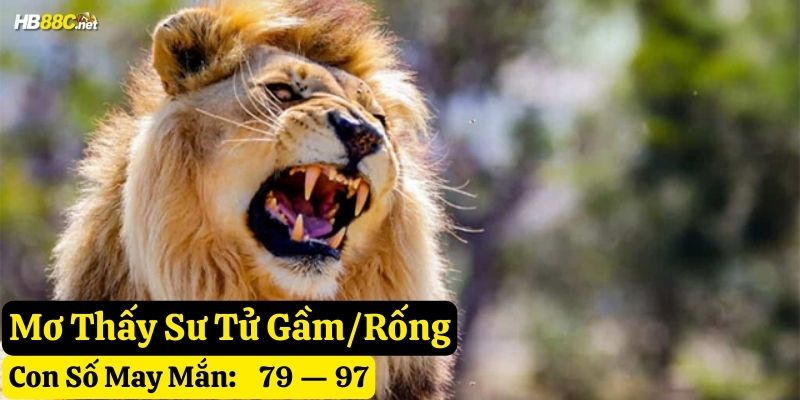 mơ thấy sư tử hb88