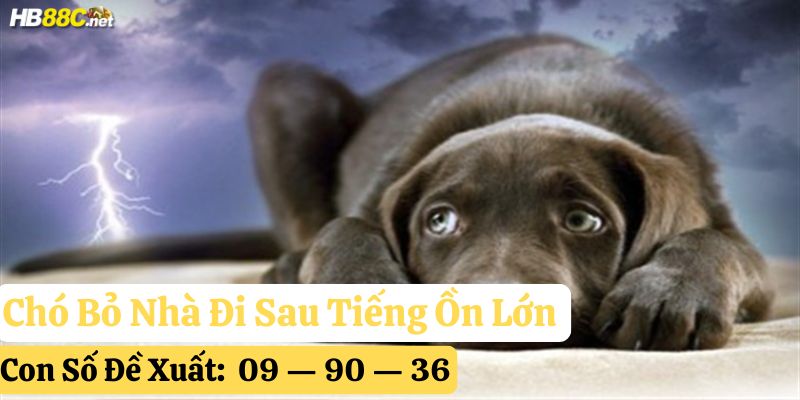 chó rời nhà đi