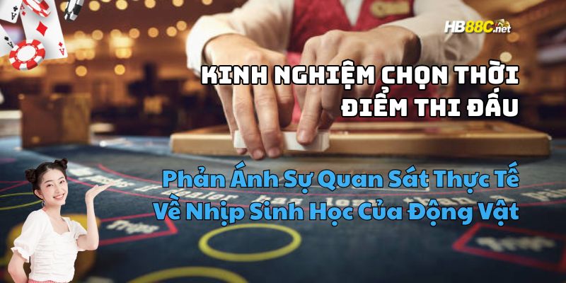 kinh nghiệm chơi đá gà hay