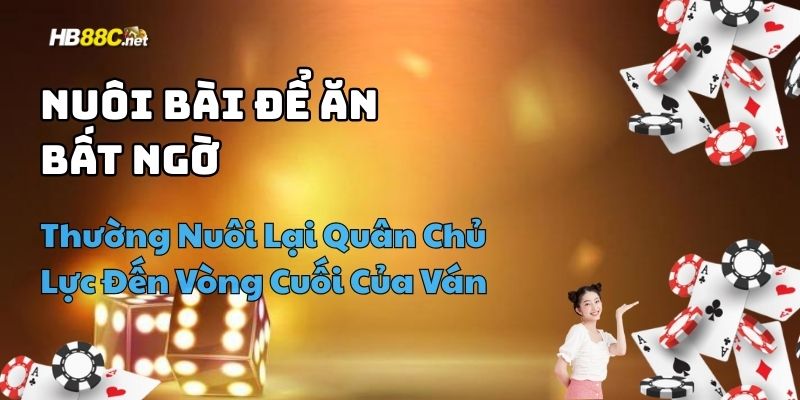 mẹo chơi bài catte hay