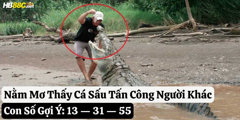 nằm mơ thấy cá sấu hb88