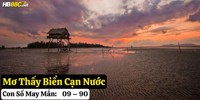 mơ thấy biển đánh số gì