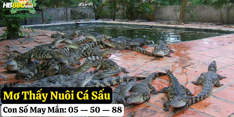 nằm mơ thấy cá sấu