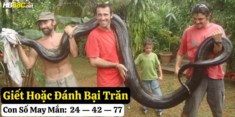 ngủ mơ thấy trăn hb88
