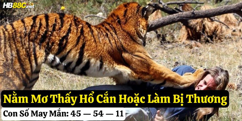 nằm mơ thấy hổ