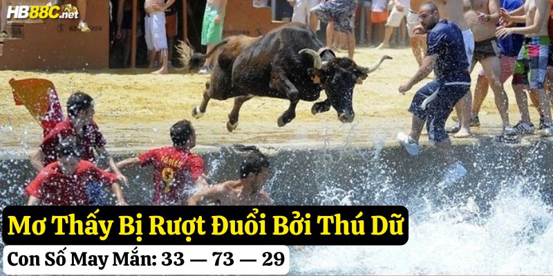 mơ thấy bị rượt đuổi hb88