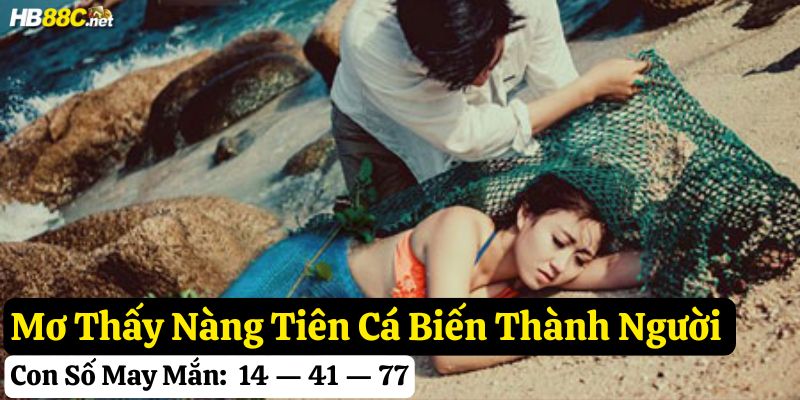mơ thấy nàng tiên cá hb88