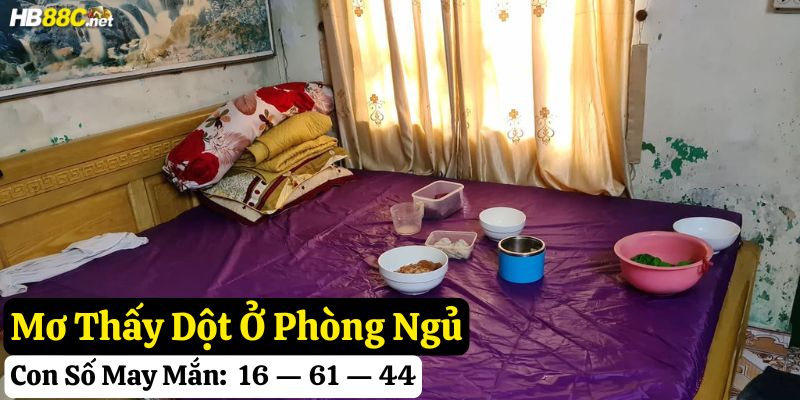 mơ thấy nhà dột hb88