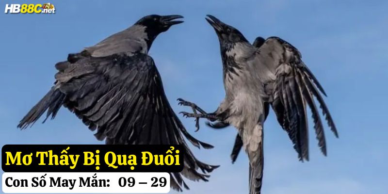 mơ thấy quạ 88nn