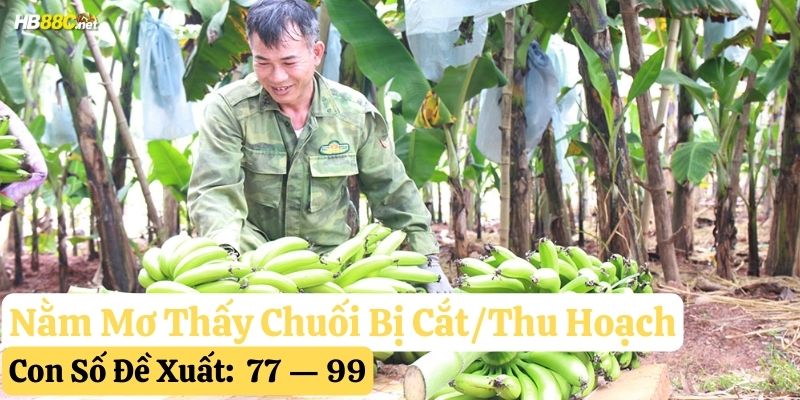 nằm mơ thấy chuối