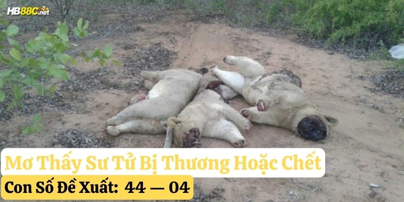 mơ thấy sư tử
