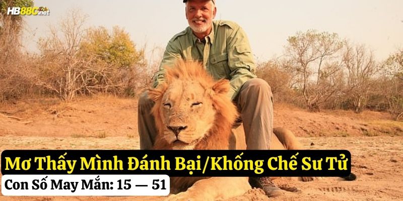 nằm mơ thấy sư tử