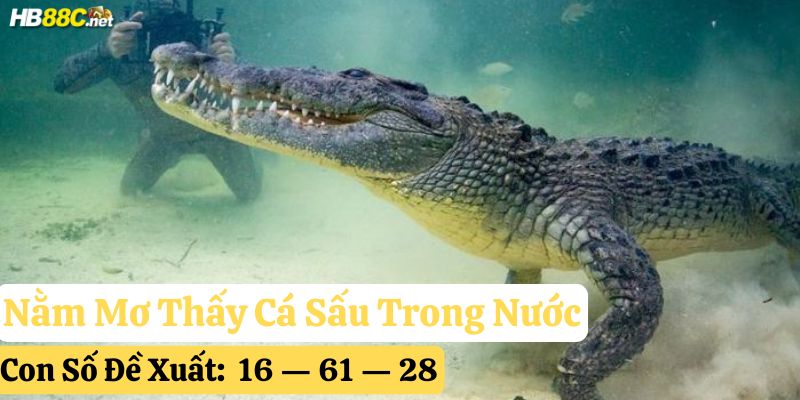 nằm mơ cá sấu