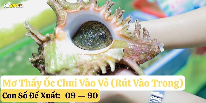 nằm mơ thấy ốc
