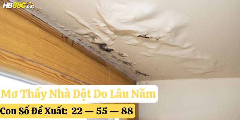 mơ thấy nhà dột