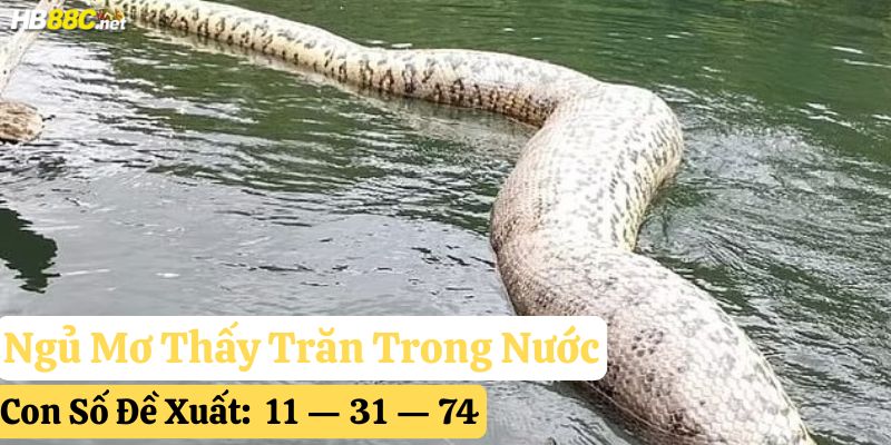 ngủ mơ thấy trăn