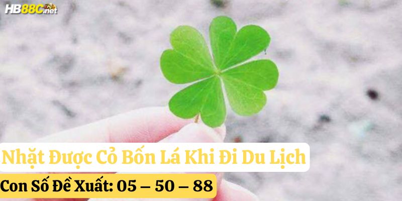 nhặt được cỏ bốn lá