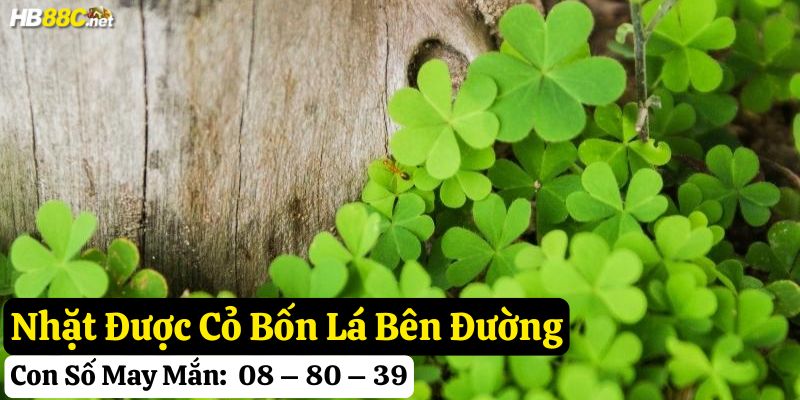 thấy nhặt được cỏ bốn lá