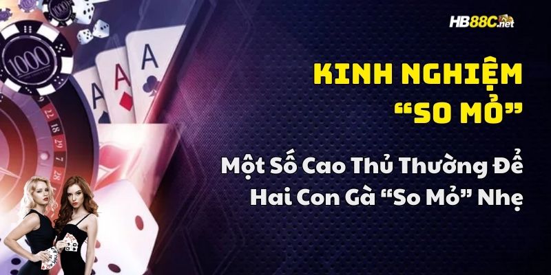 mẹo chơi đá gà chuẩn