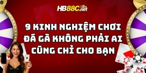 kinh nghiệm chơi đá gà hb88 thumb