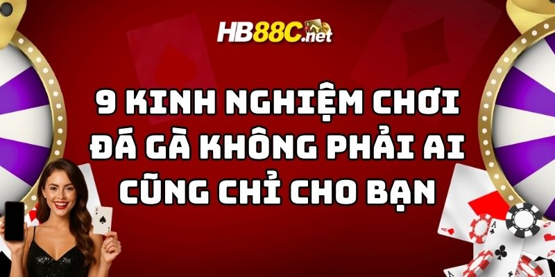 kinh nghiệm chơi đá gà hb88 thumb