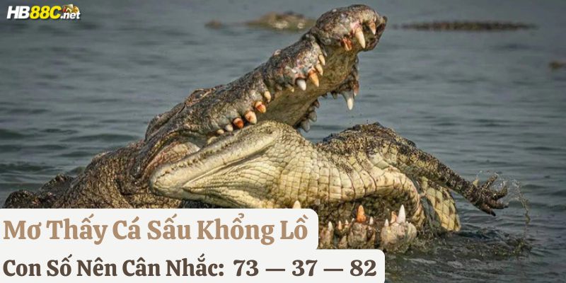 mơ thấy cá sấu