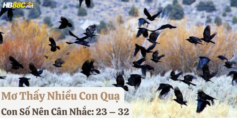 nằm mơ thấy quạ