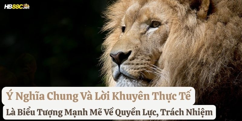 nằm mơ sư tử