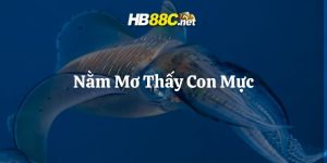 nằm mơ thấy con mực hb88 thumb