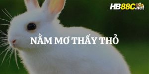 mơ thấy con thỏ hb88 thumb