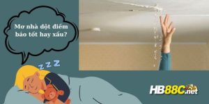 mơ thấy nhà dột hb88 thumb