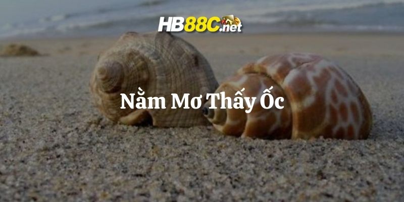 mơ thấy ốc hb88 thumb