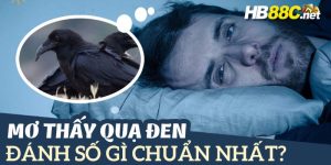 mơ thấy quạ hb88 thumb