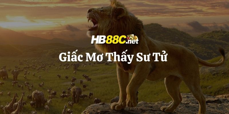 mơ thấy sư tử hb88 thumb