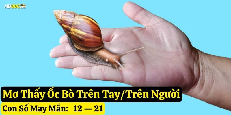 nằm mơ ốc
