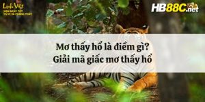 nằm mơ thấy hổ hb88 thumb