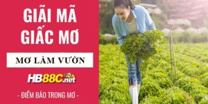 nằm mơ thấy làm vườn hb88 thumb