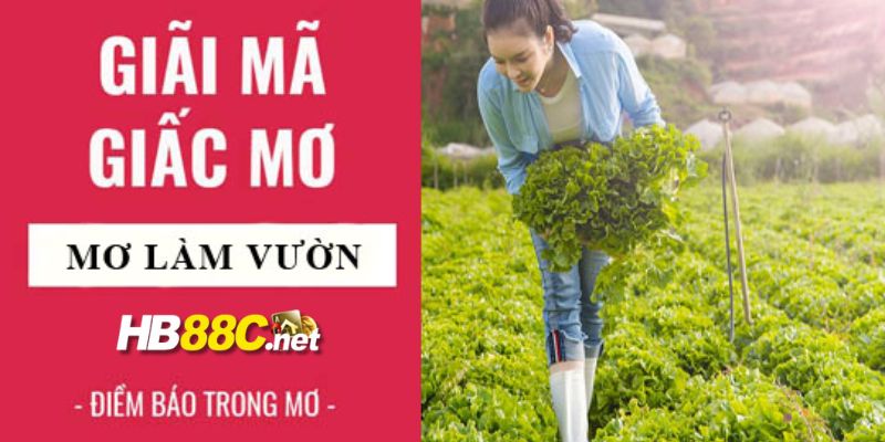 nằm mơ thấy làm vườn hb88 thumb