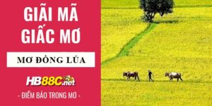 nằm mơ thấy lúa hb88 thumb