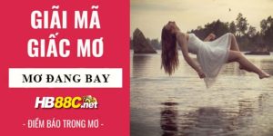 mơ thấy mình đang bay hb88 thumb