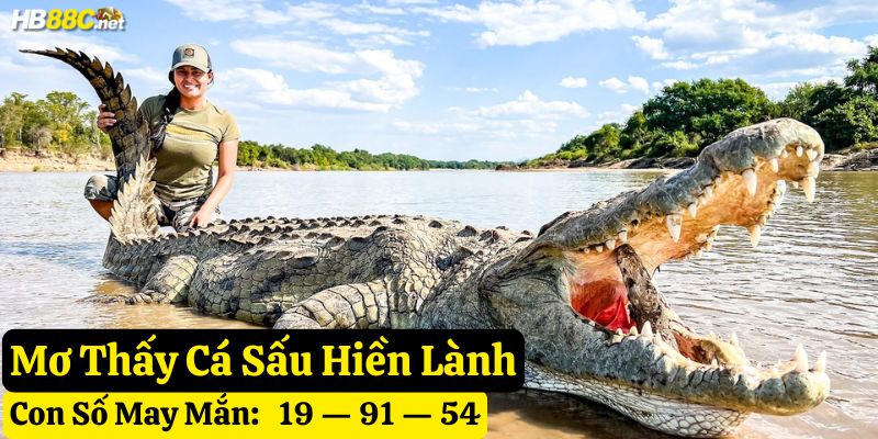 mơ cá sấu